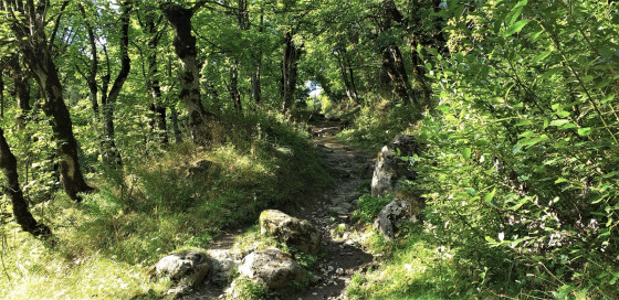 Sentier de départ