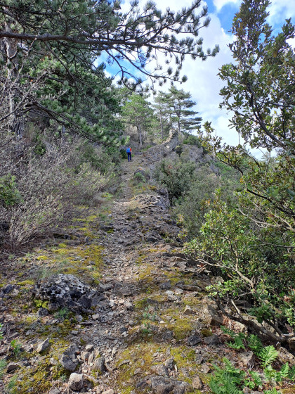 Sentier de descente vers la D620