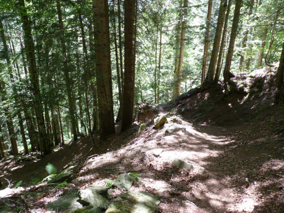 Sentier de descente