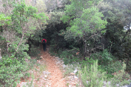Sentier de descente