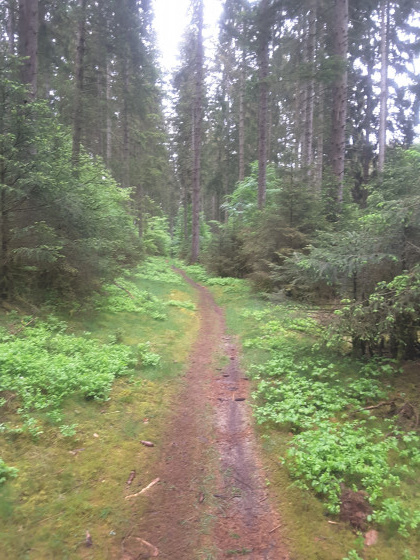 Sentier de GR