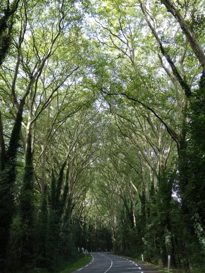 Sentier de l\'Essonne au niveau du hameau du Marais