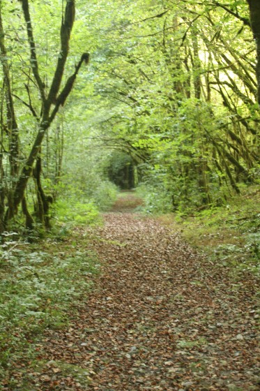 Sentier de la Génie Longue