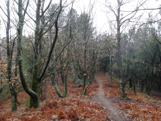 Sentier de la Vern&egrave;de