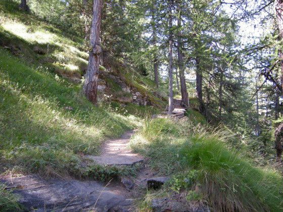 Sentier de montée aux lacs