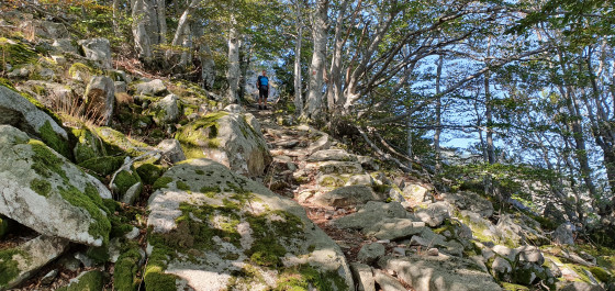 Sentier de montée.