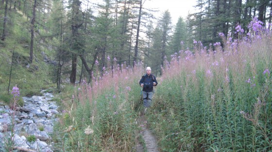 Sentier de montée