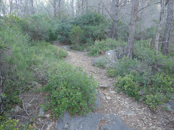 Sentier de montée