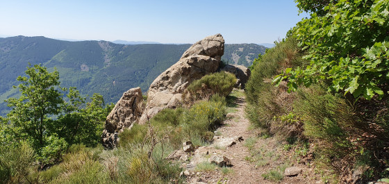 Sentier de montée.