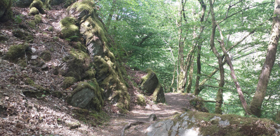 Sentier de randonnée