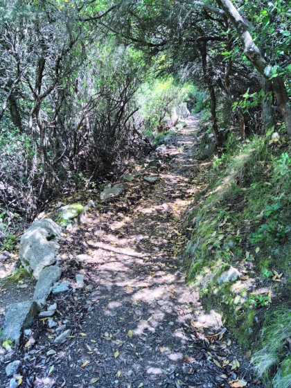 Sentier de retour a l\'ombre en après midi