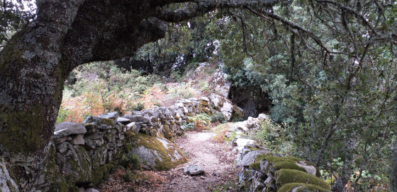 Sentier de retour