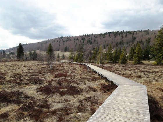Sentier d&eacute;couverte