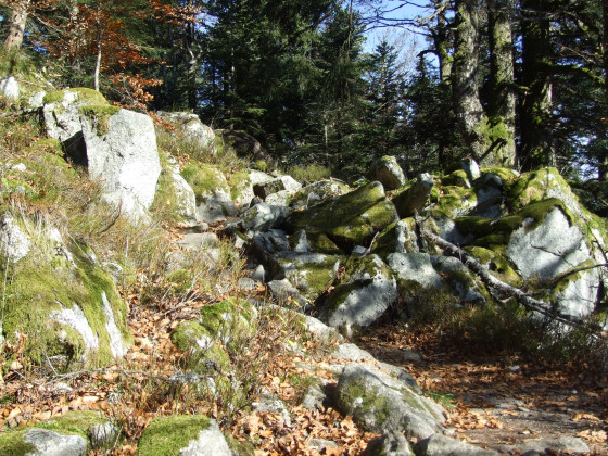 sentier délicat