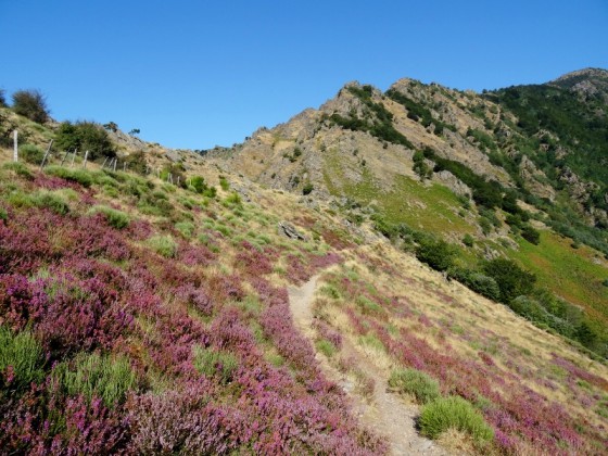 Sentier des 4000 marches en août