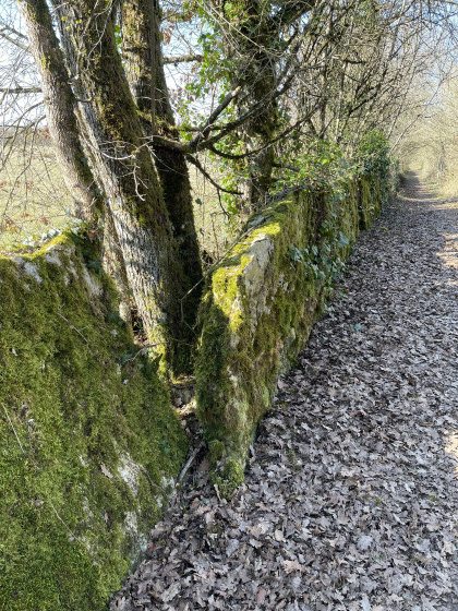 Sentier des Bigues