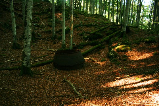 Sentier des charbonnières de l'Aülhet