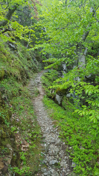 SENTIER DES GARDES, circuit complémentaire aux sentiers de Laboule.