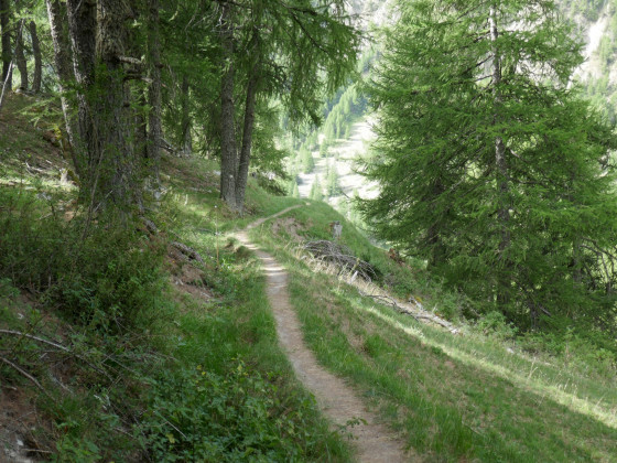 Sentier des Gypières