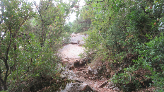 Sentier des Plaideurs