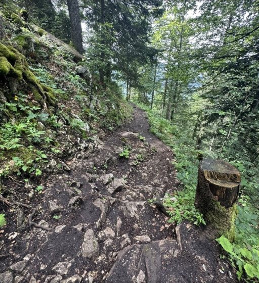 Sentier des Quatorze Contours