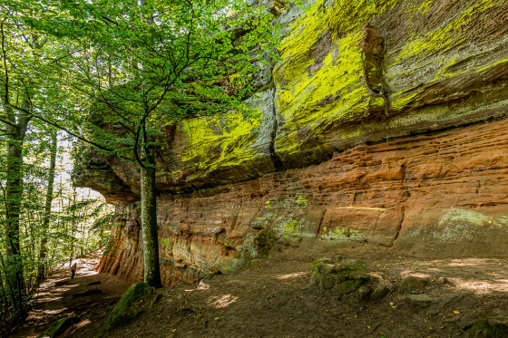 Les rochers de Roppeviller