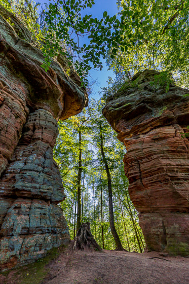 Les rochers de Roppeviller