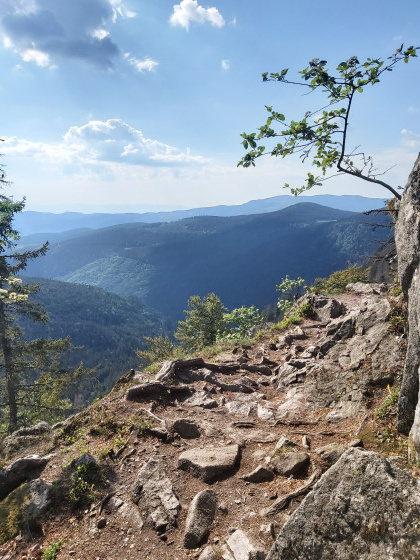 Sentier des roches