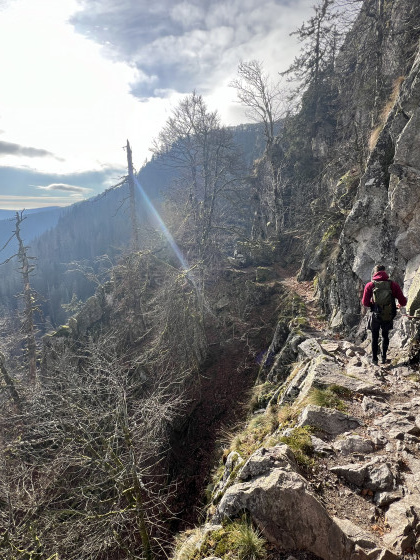 Sentier des roches