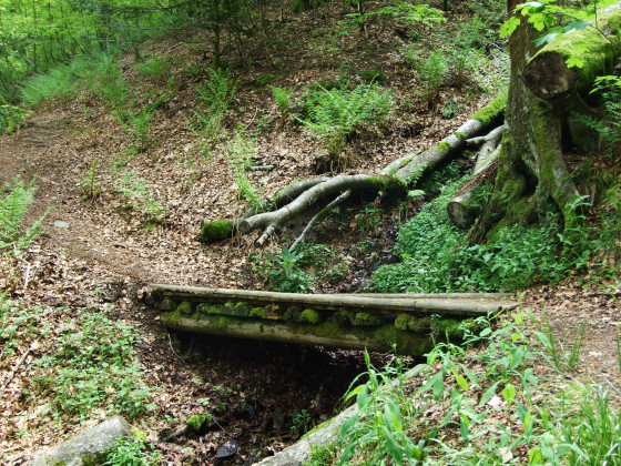 sentier des Russiers