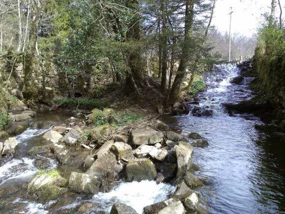 Ruisseau