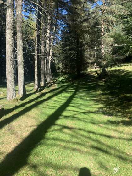 Sentier des vaches