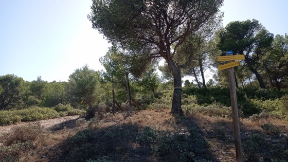 Sentier des vignerons à Saint-Julien-les-Martigues