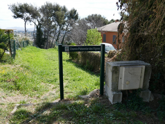 Sentier des Vignes