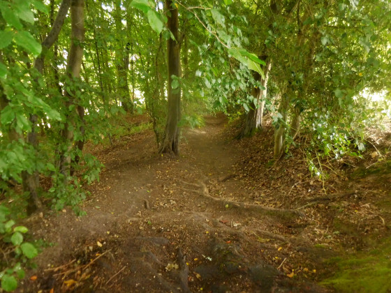 Sentier descendant jusqu'&agrave; la Rue du Faulx