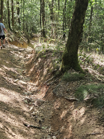 sentier descente