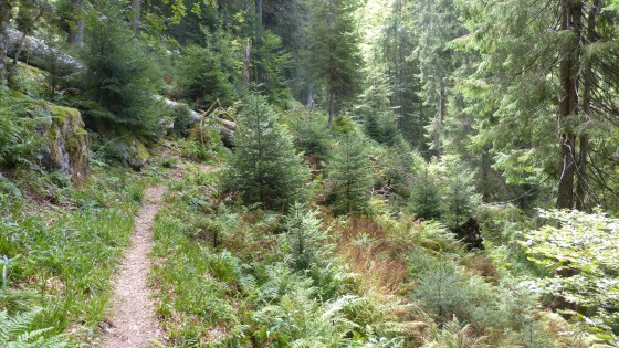 Sentier Dielaine