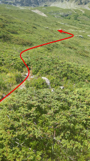 Sentier discret vers le Col Menoux