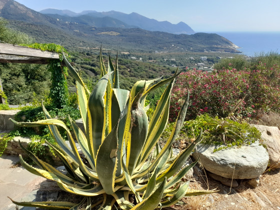 Sentier douanier de centuri a capo Grosso