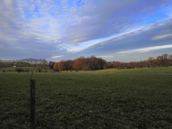 Sentier du bois des places