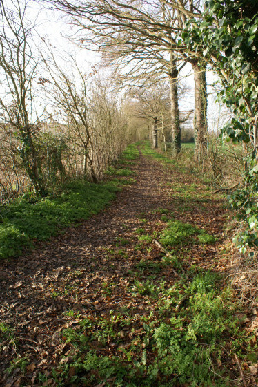 Sentier du bord de l'&Egrave;vre