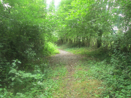 Sentier du Buffle à Etroeungt