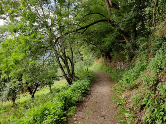 Sentier du circuit
