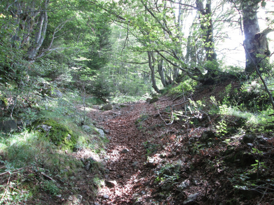 Sentier du début