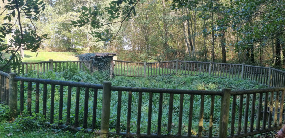 La source de la rivière l'Yon