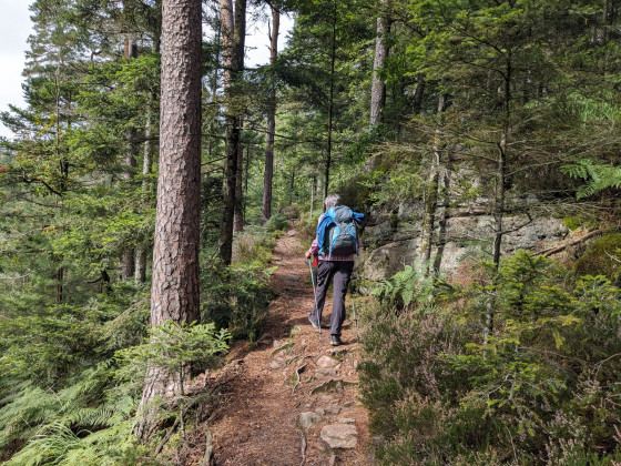 Sentier du GR 533