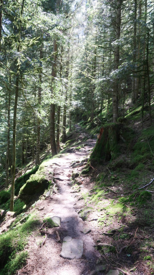 Sentier du Haut du Bon Dieu