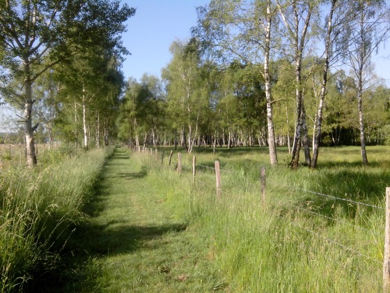Sentier du Marais