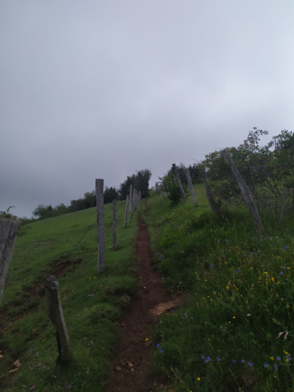 Sentier du Mont Myon