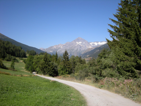 Chemin du Petit Bonheur